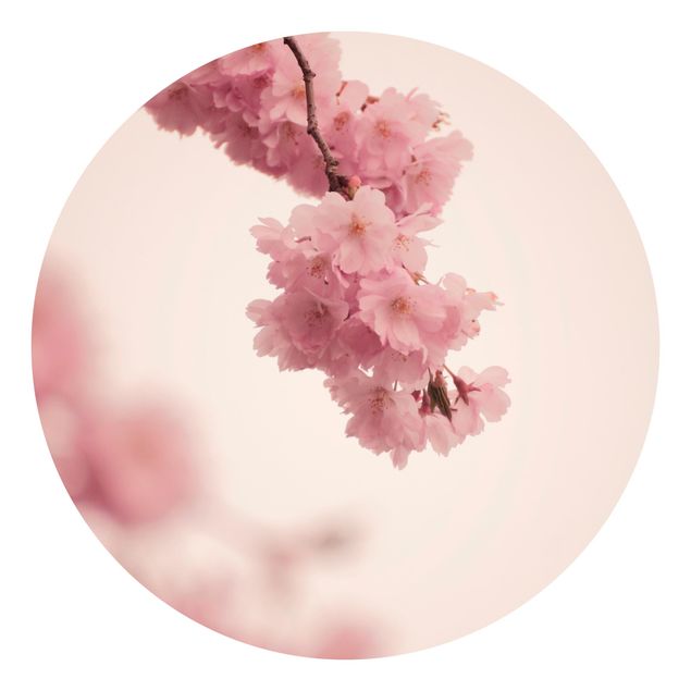 Quadri Monika Strigel Fiore di primavera rosa pallido con bokeh