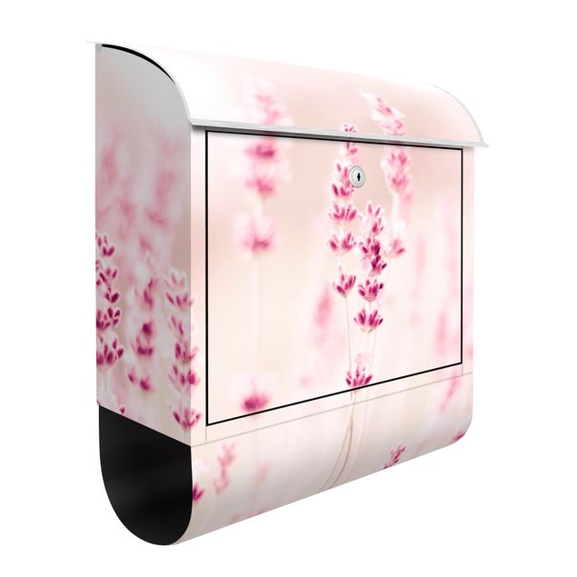 Cassette della posta con fiori Lavanda rosa pallido