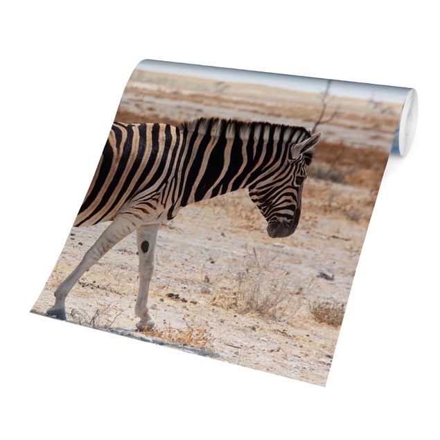 Carta da parati con paesaggi Zebra nella savana