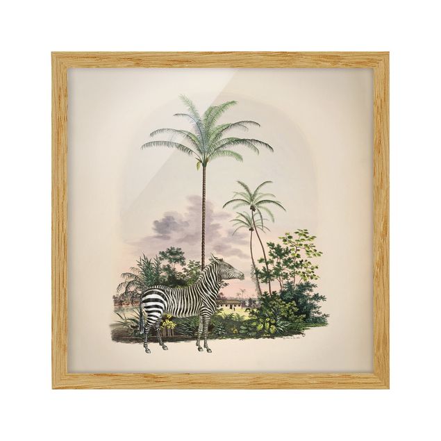 Quadri con cornice con paesaggio Zebra davanti a palme illustrazione