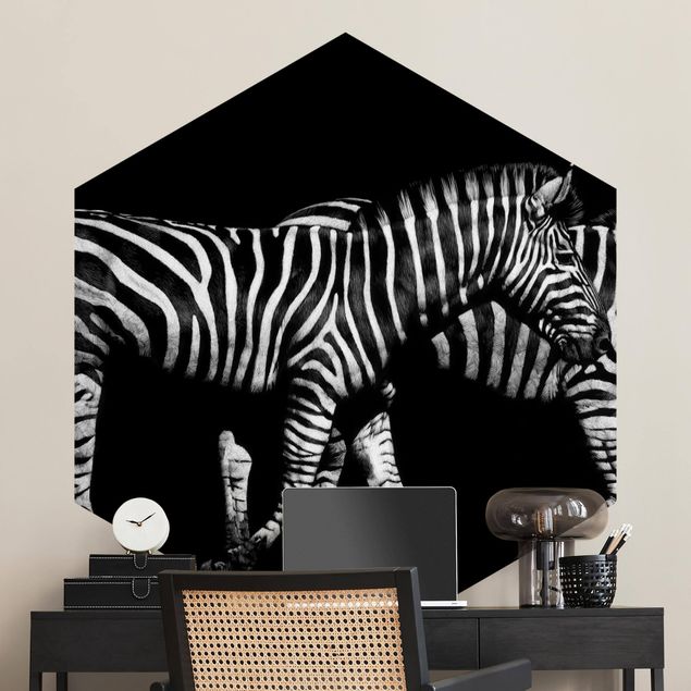 Carte da parati con zebre Zebra nel buio