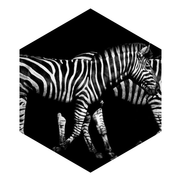 Carta da parati online Zebra nel buio