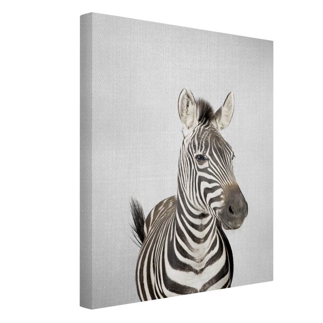 Quadro moderno Zebra Zilla