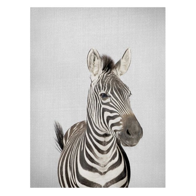 Quadri in bianco e nero Zebra Zilla