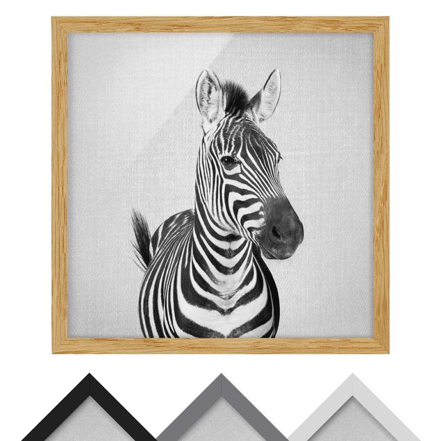 Stampe Zebra Zilla Bianco e Nero