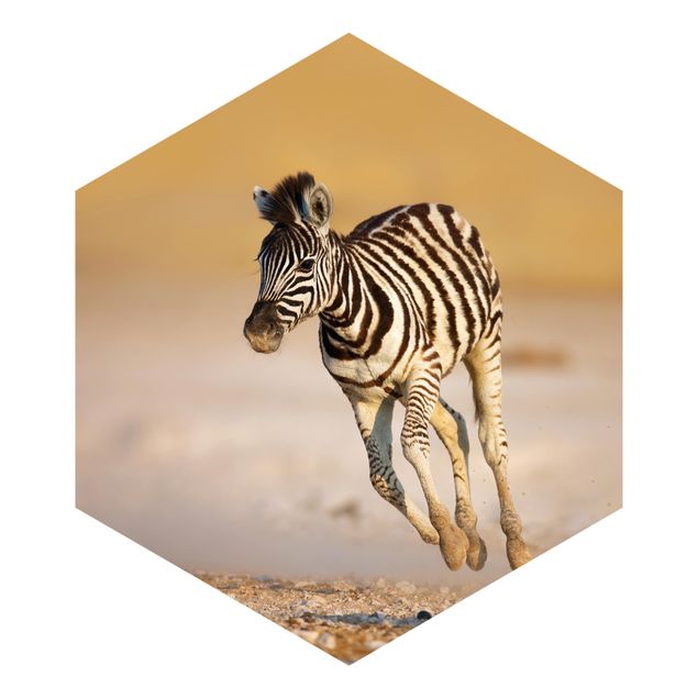 Carta da parati paesaggio Puledro di zebra