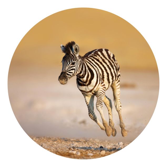 Carta da parati Africa Puledro di zebra