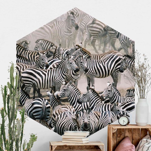 Carte da parati adesive Branco di zebre