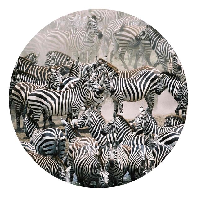 Carte da parati con zebre Branco di zebre