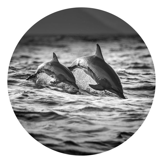 Carte da parati moderne Due delfini che saltano